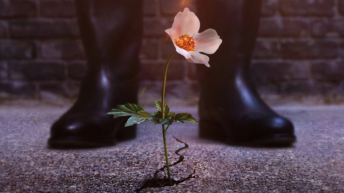 Thế Giới Của Phát Xít (The Man in the High Castle)